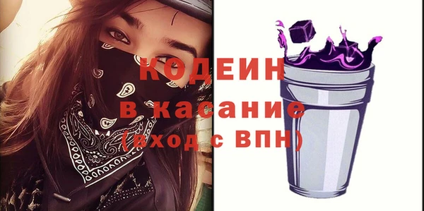 индика Тында